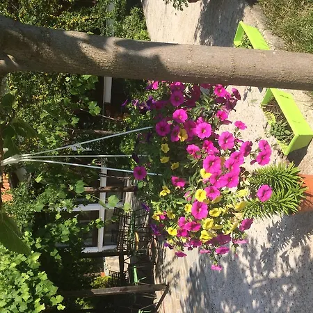 Menir Apartments Prinos (Thasos)